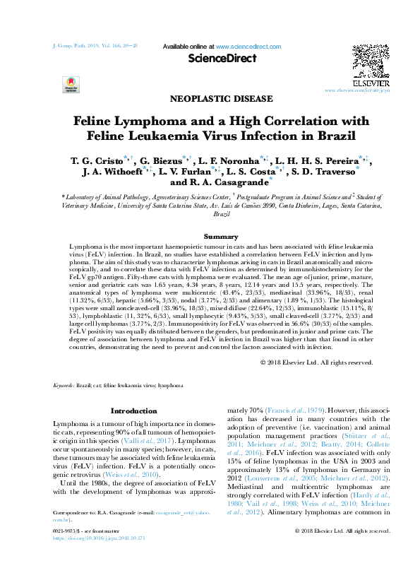 Picture of (PDF) Feline Lymphoma and a High Correlation with Feline Leukaemia ...