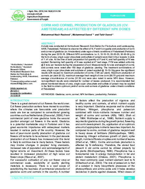 (PDF) Corm and Cormel Production of Gladiolus ( CV . Amsterdam ) as ...
