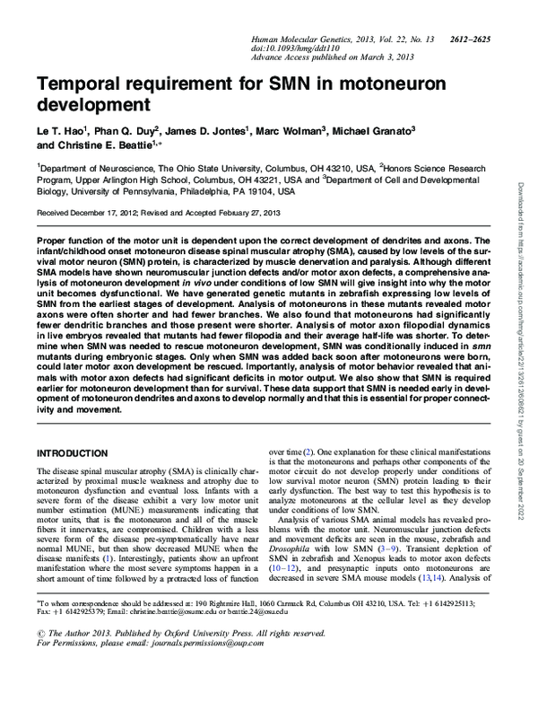 (PDF) Temporal requirement for SMN in motoneuron development