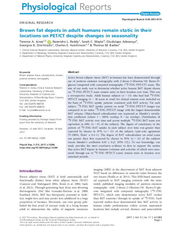 (PDF) Brown fat depots in adult humans remain static in their locations ...