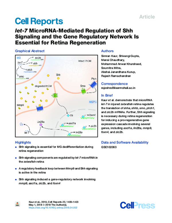(PDF) let-7 MicroRNA-Mediated Regulation of Shh Signaling and the Gene ...