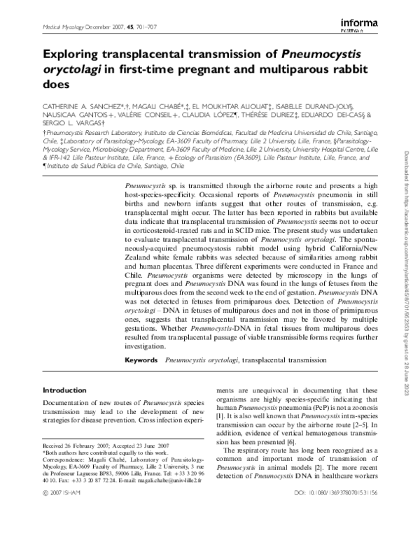 (PDF) Exploring transplacental transmission ofPneumocystisoryctolagiin ...