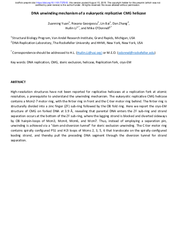 (PDF) DNA unwinding mechanism of a eukaryotic replicative CMG helicase