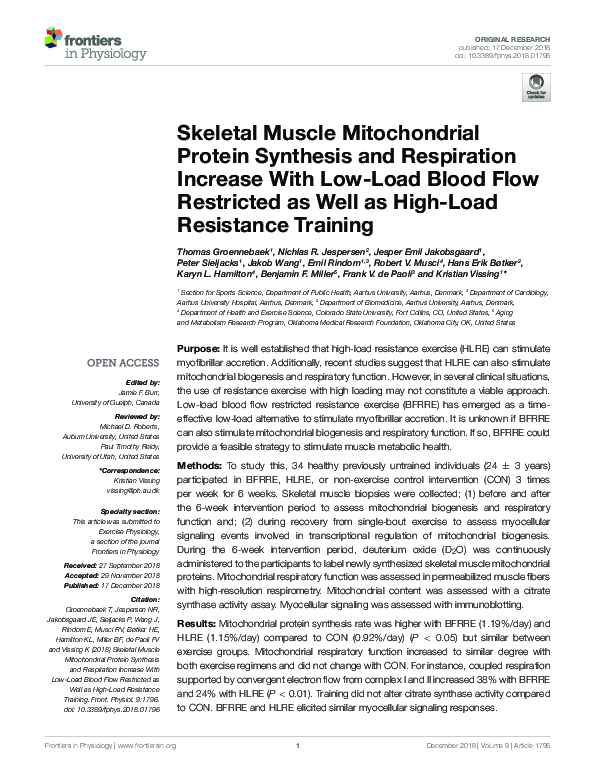 (PDF) Skeletal Muscle Mitochondrial Protein Synthesis and Respiration ...