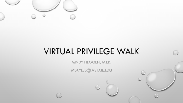 (PDF) Virtual Privilege Walk
