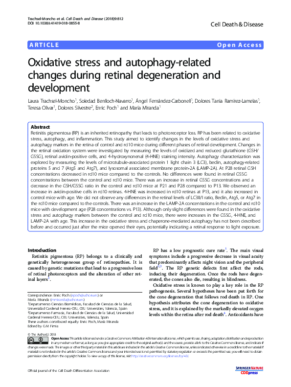 (PDF) Oxidative stress and autophagy-related changes during retinal ...