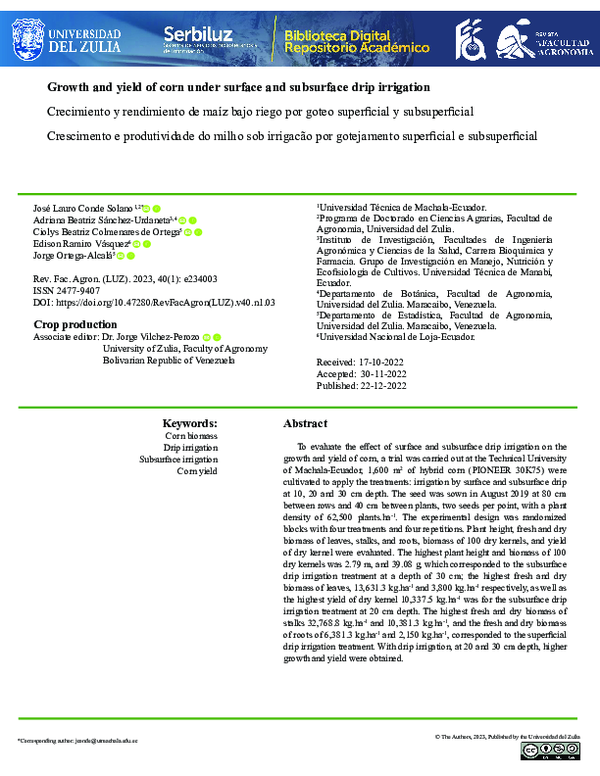 (PDF) Growth and yield of corn under surface and subsurface drip irrigation