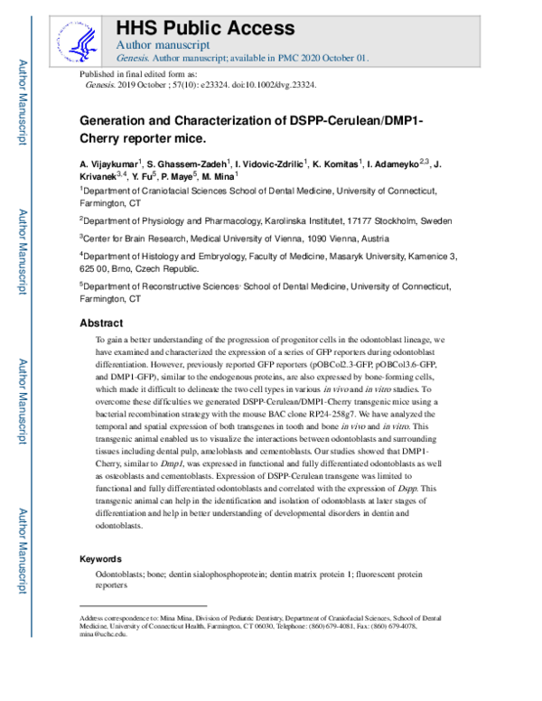 Generation and characterization of DSPP‐Cerulean/DMP1‐Cherry reporter mice