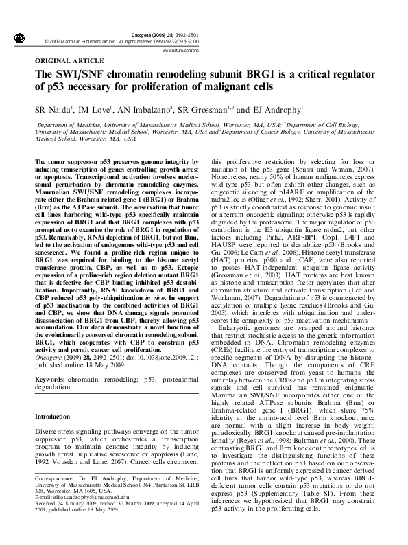 (PDF) The SWI/SNF chromatin remodeling subunit BRG1 is a critical ...