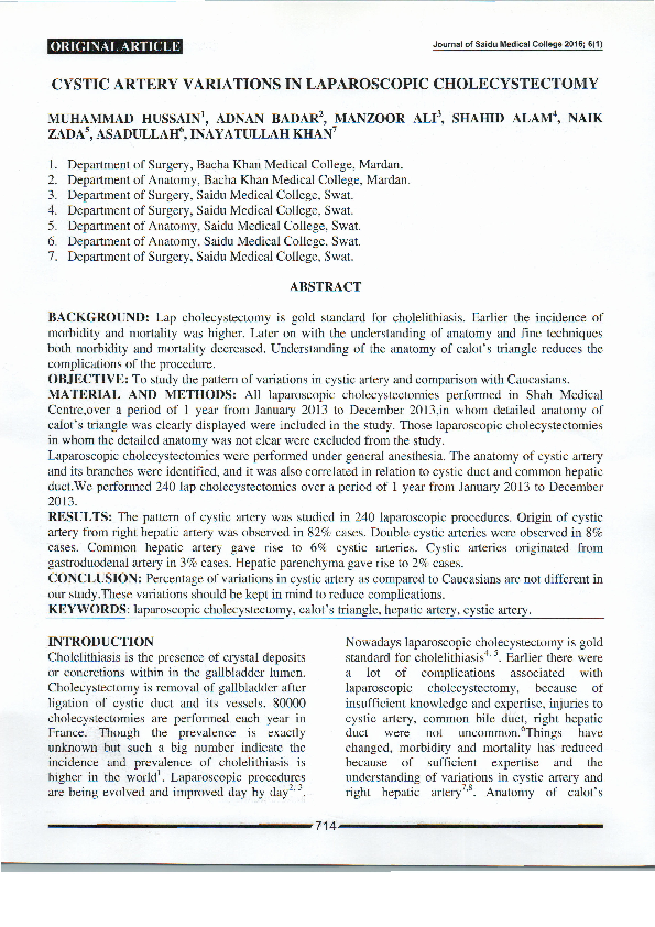 (PDF) Cystic Artery Variations in Laparoscopic Cholecystectomy