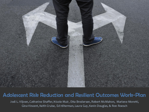 (PDF) Adolescent Risk Reduction and Resilient Outcomes Work-Plan