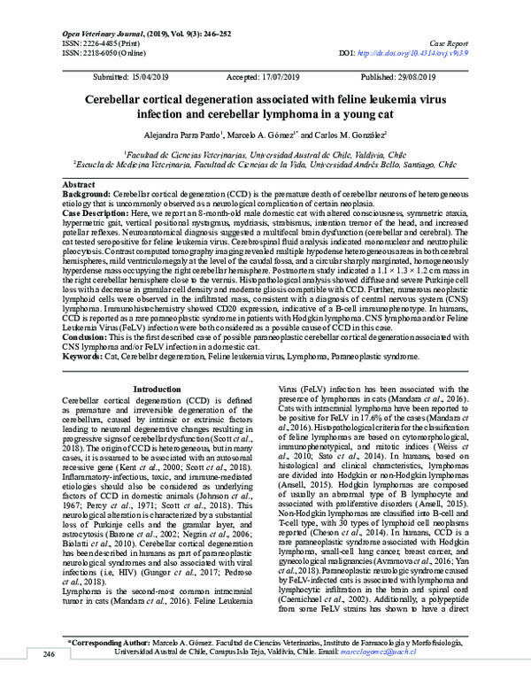Gallery Detail: Pdf Cerebellar Cortical Degeneration Associated With Feline Leukemia