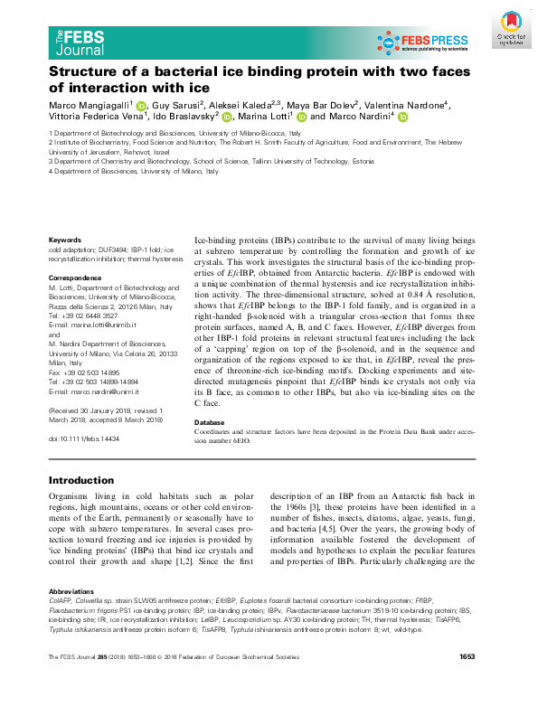 (PDF) Structure of a bacterial ice binding protein with two faces of ...