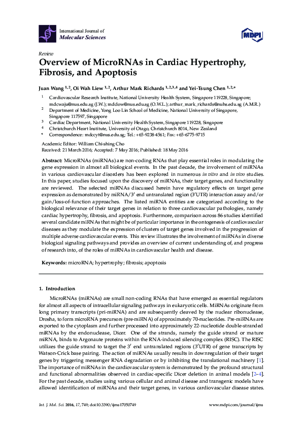 (PDF) Overview of MicroRNAs in Cardiac Hypertrophy, Fibrosis, and Apoptosis