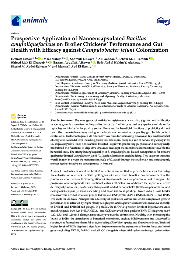 Prospective Application of Nanoencapsulated Bacillus amyloliquefaciens on Broiler Chickens’ Performance and Gut Health with Efficacy against Campylobacter jejuni Colonization