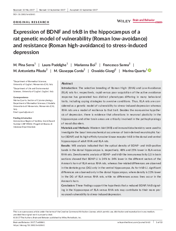 (PDF) Expression of BDNF and trkB in the hippocampus of a rat genetic ...