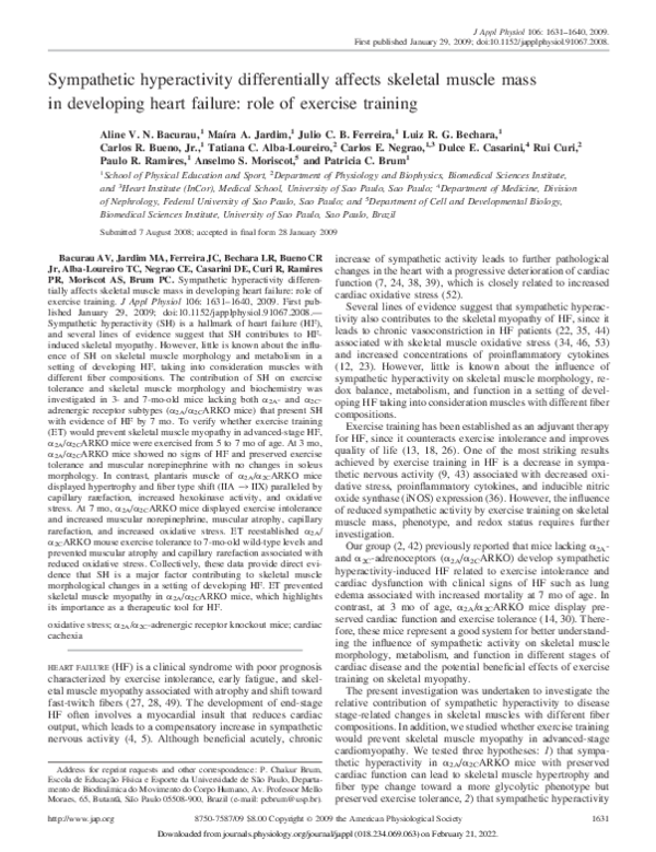 (PDF) Sympathetic hyperactivity differentially affects skeletal muscle ...