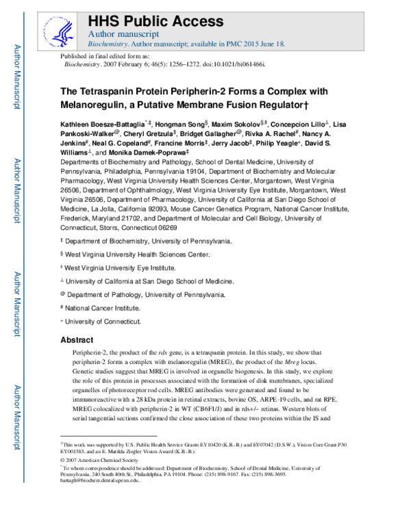 (PDF) The Tetraspanin Protein Peripherin-2 Forms a Complex with ...