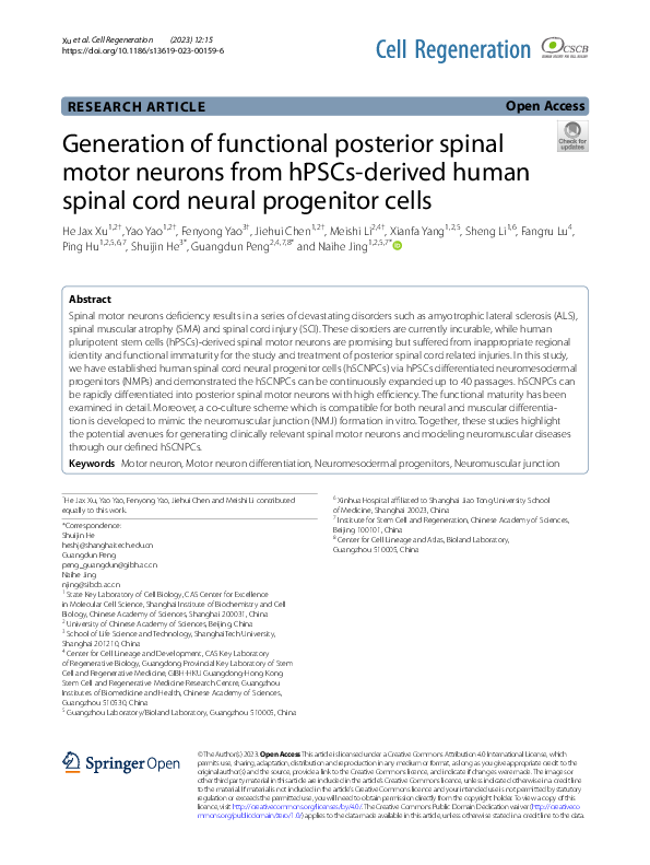 (PDF) Generation of functional posterior spinal motor neurons from ...