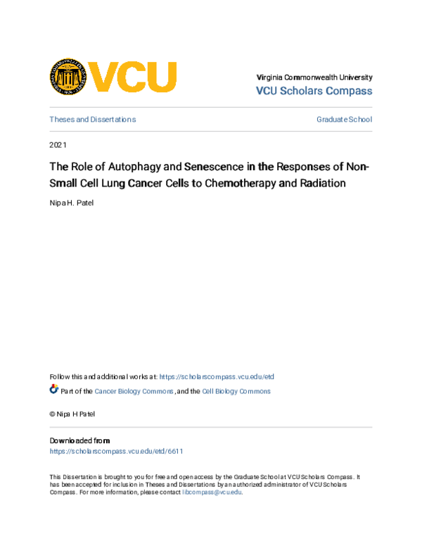 (PDF) The Role of Autophagy and Senescence in the Responses of Non ...