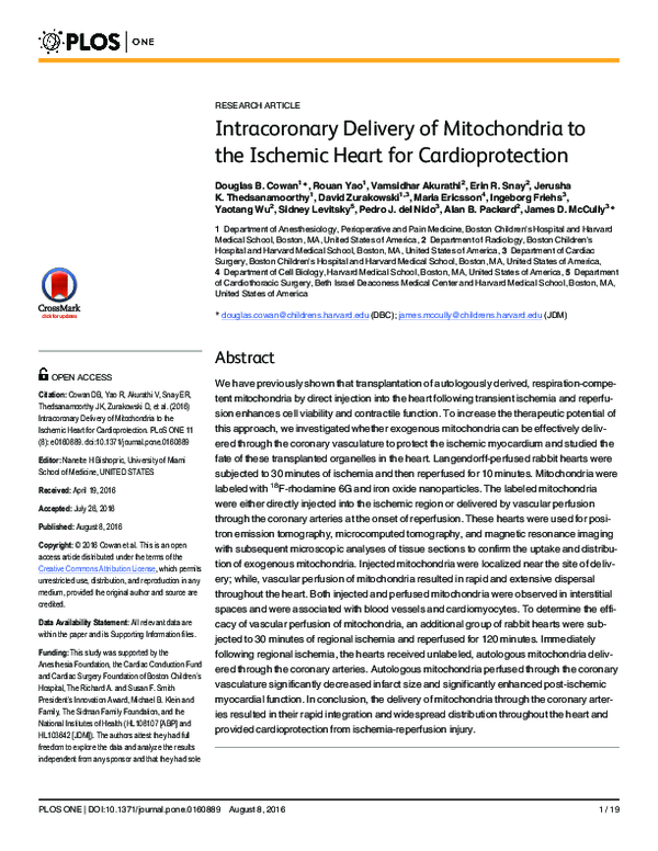 (PDF) Intracoronary Delivery of Mitochondria to the Ischemic Heart for ...