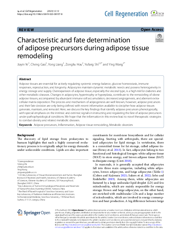 (PDF) Fate and Characterization of Adipose Precursors in Remodeling