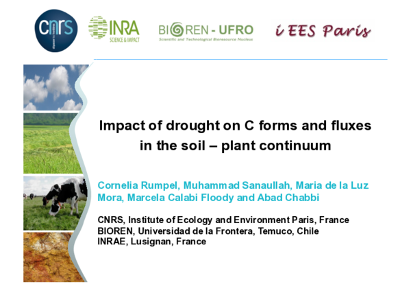 (PDF) Impact of drought on C forms and fluxes in the soil – plant continuum