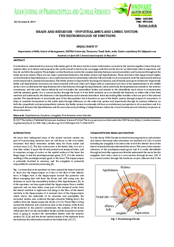 (PDF) Brain and Behavior – Hypothalamus and Limbic System: The ...