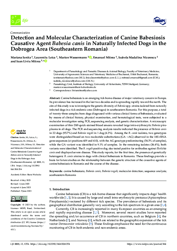 (PDF) Detection and Molecular Characterization of Canine Babesiosis ...