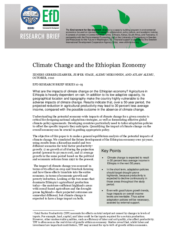 (PDF) Climate Change and the Ethiopian Economy