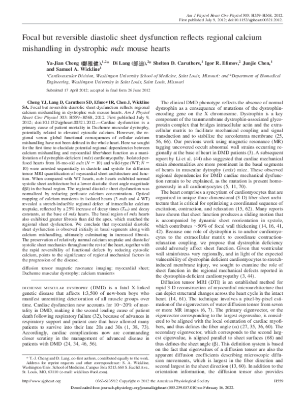 (PDF) Focal but reversible diastolic sheet dysfunction reflects ...