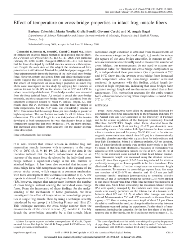 (PDF) Effect of temperature on cross-bridge properties in intact frog ...