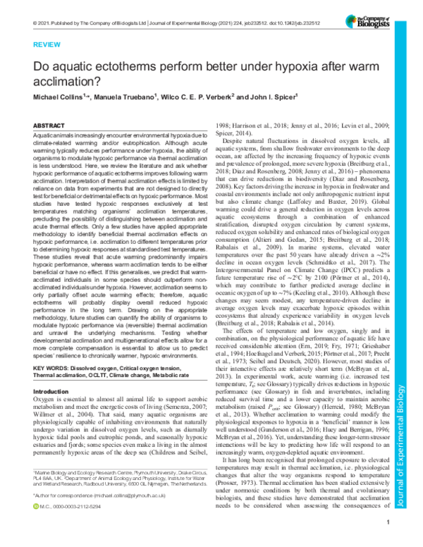 (PDF) Do aquatic ectotherms perform better under hypoxia after warm ...