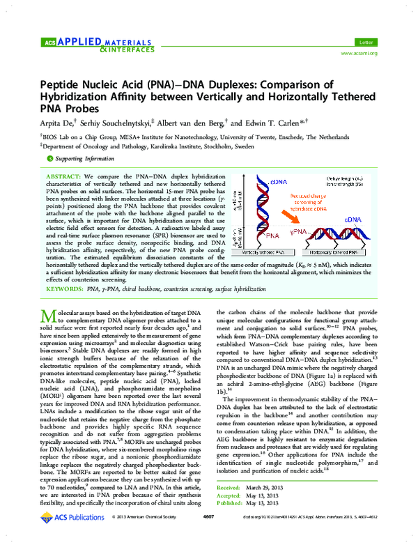 (PDF) Peptide Nucleic Acid (PNA)–DNA Duplexes: Comparison of ...
