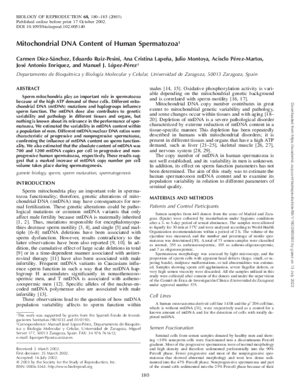 (PDF) Mitochondrial DNA Content of Human Spermatozoa1