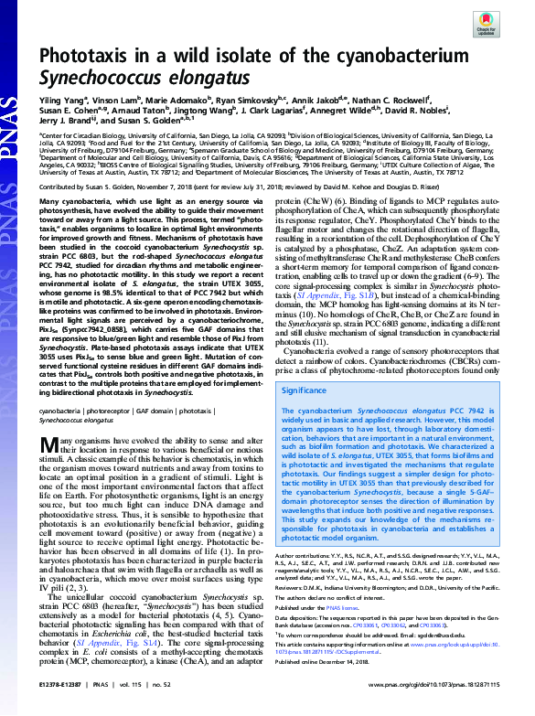 (PDF) Phototaxis in a wild isolate of the cyanobacterium Synechococcus ...