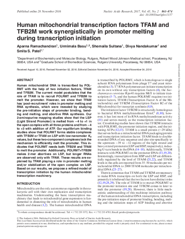 (PDF) Human mitochondrial transcription factors TFAM and TFB2M work ...