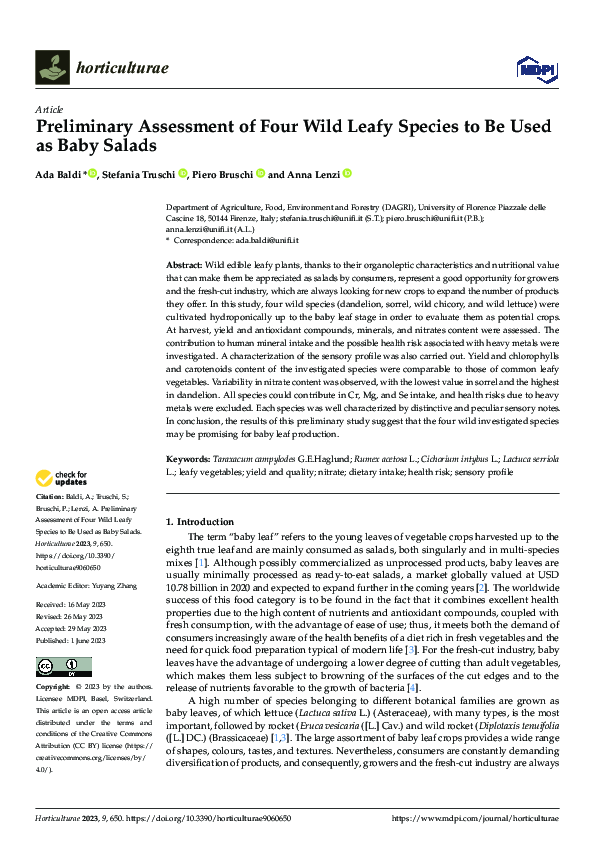 Preliminary Assessment of Four Wild Leafy Species to Be Used as Baby Salads