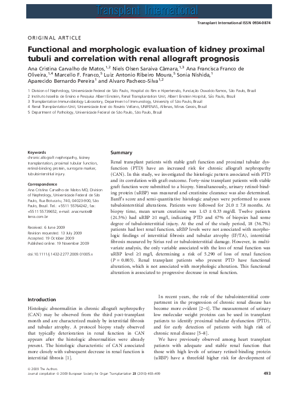 (PDF) Functional and morphologic evaluation of kidney proximal tubuli ...