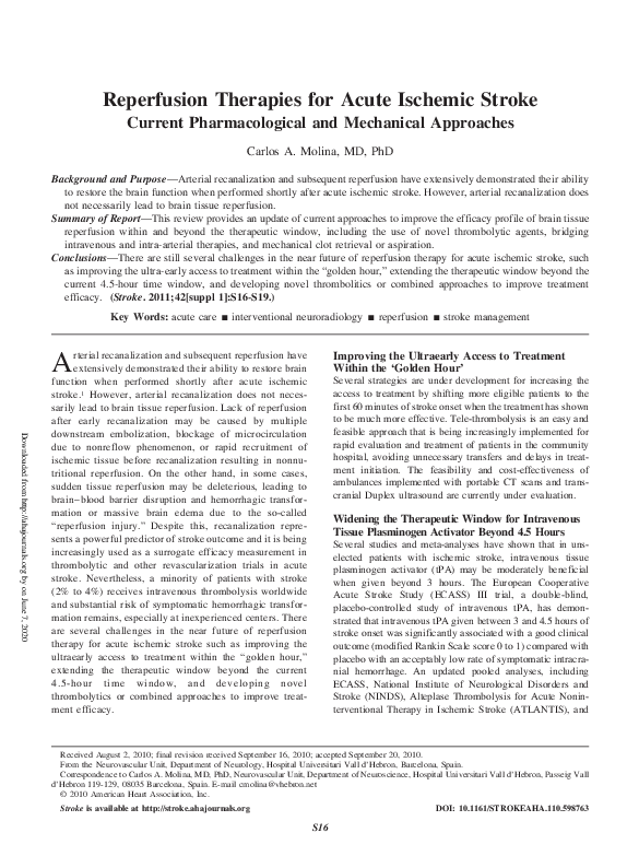 (PDF) Reperfusion Therapies for Acute Ischemic Stroke