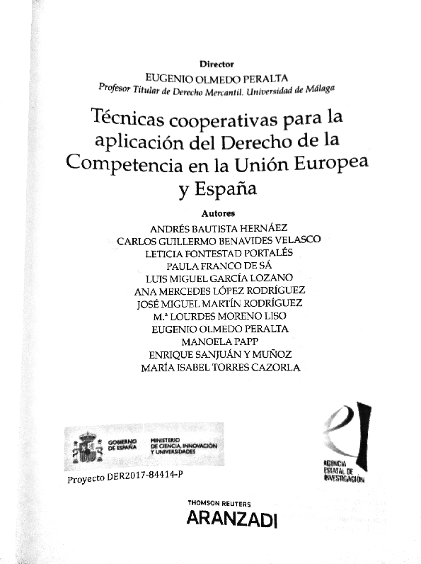 (PDF) La red europea de competencia (European Competition Network) ¿Una ...