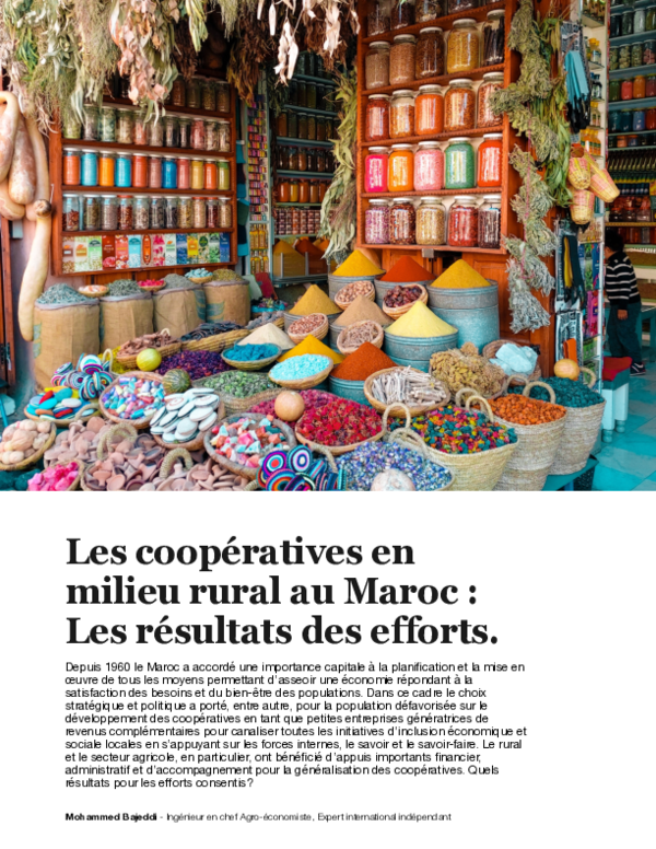 (PDF) Les coopératives en milieu rural au Maroc : Les résultats des efforts