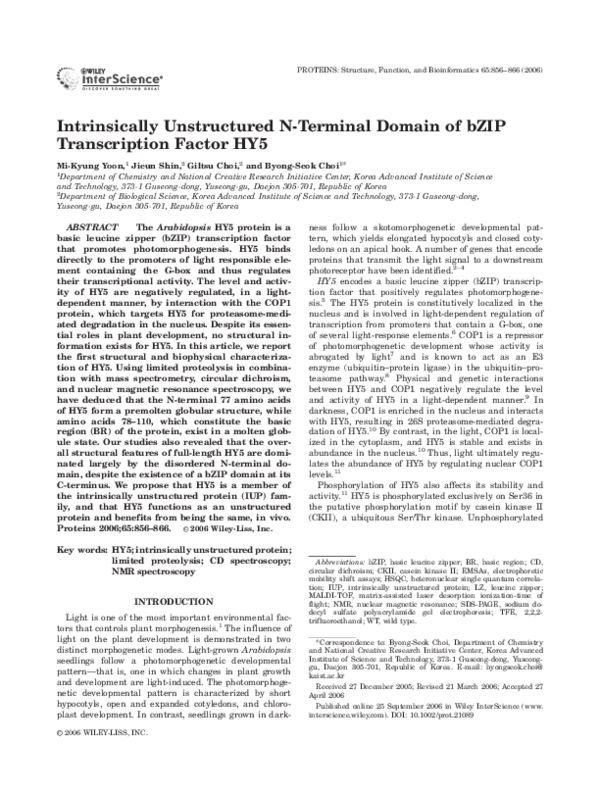 Intrinsically unstructured N-terminal domain of bZIP transcription factor HY5