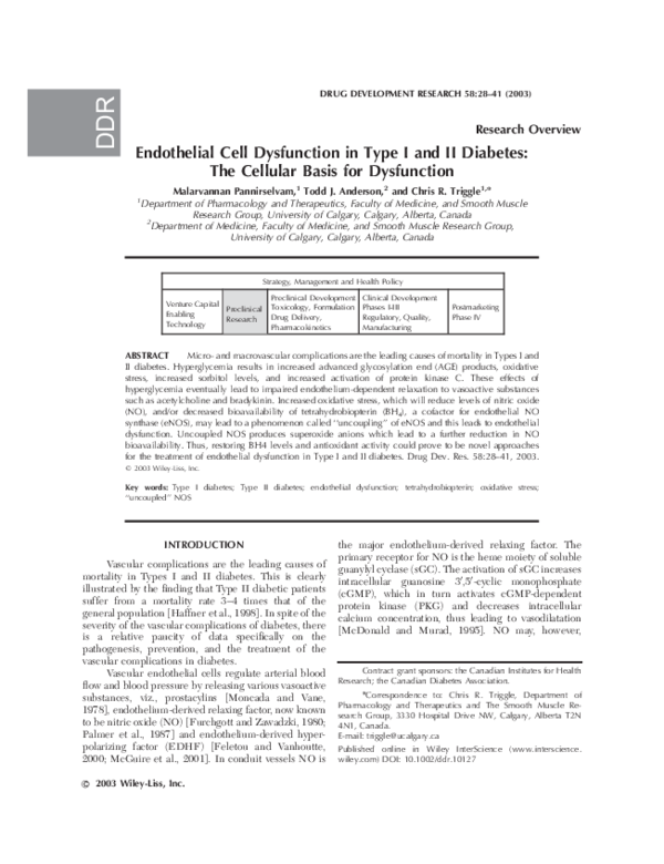 (PDF) Endothelial cell dysfunction in type I and II diabetes: The ...