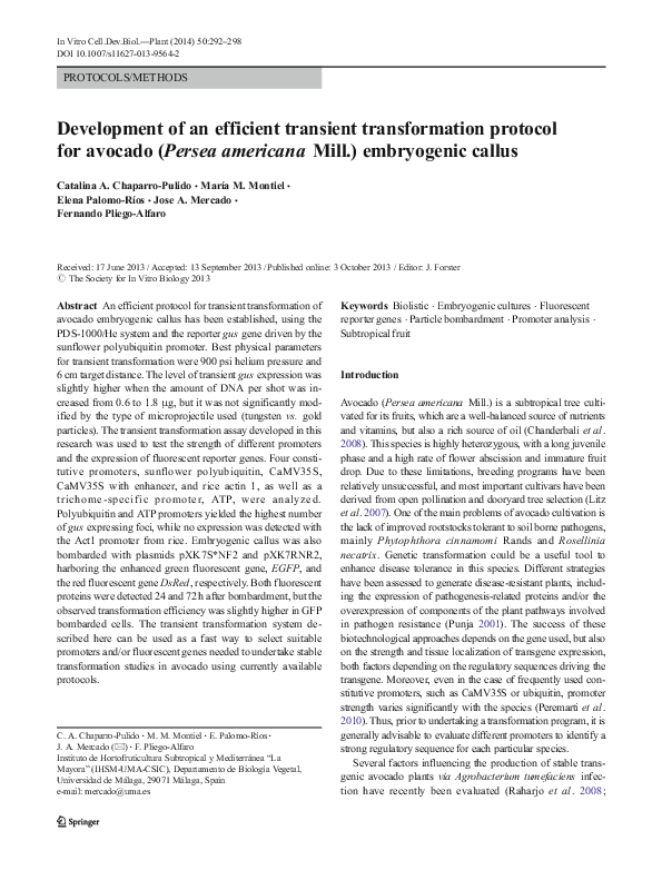 (PDF) Development of an efficient transient transformation protocol for ...