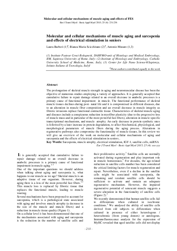 (PDF) Molecular and cellular mechanisms of muscle aging and sarcopenia ...
