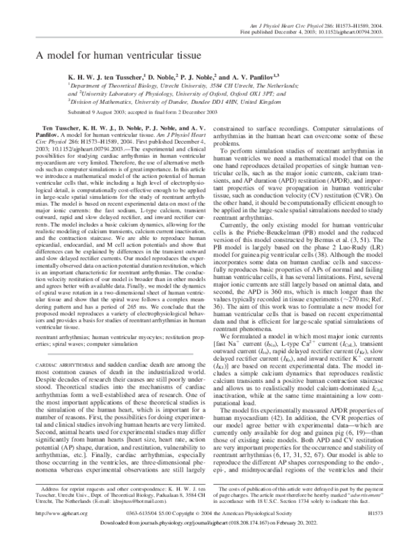 (PDF) A model for human ventricular tissue