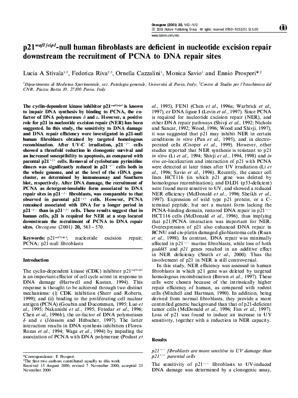 (PDF) p21waf1/cip1-null human fibroblasts are deficient in nucleotide ...