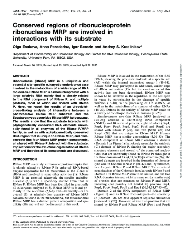(PDF) Conserved regions of ribonucleoprotein ribonuclease MRP are ...