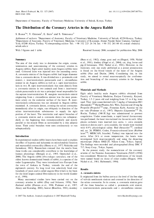 (PDF) The Distribution of the Coronary Arteries in the Angora Rabbit